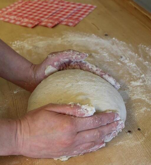 旅馆 Alpengasthaus Gleinserhof