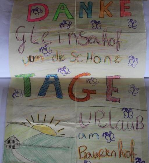 旅馆 Alpengasthaus Gleinserhof