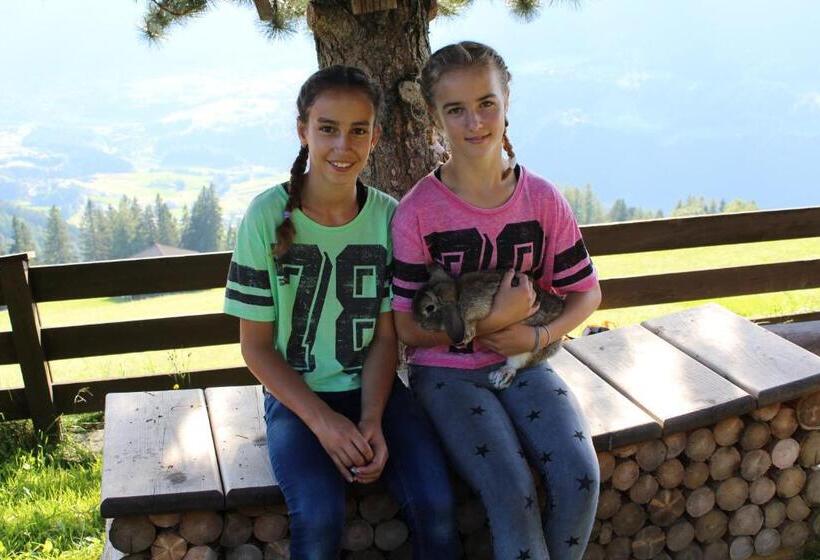 旅馆 Alpengasthaus Gleinserhof