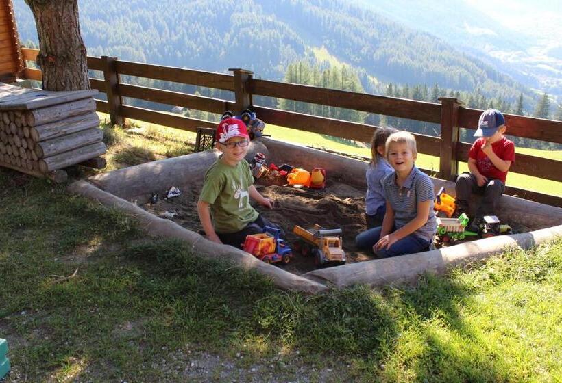 旅馆 Alpengasthaus Gleinserhof