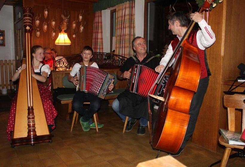 旅馆 Alpengasthaus Gleinserhof