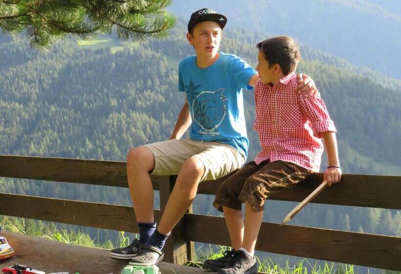 旅馆 Alpengasthaus Gleinserhof