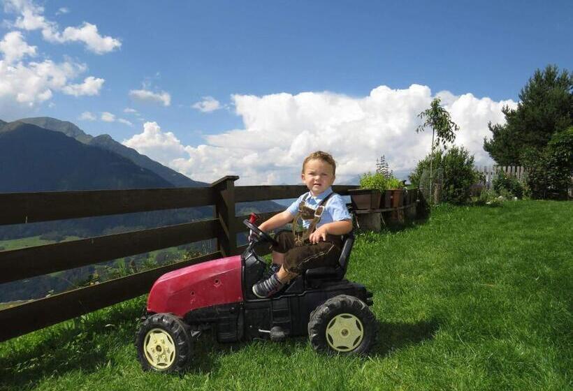 旅馆 Alpengasthaus Gleinserhof