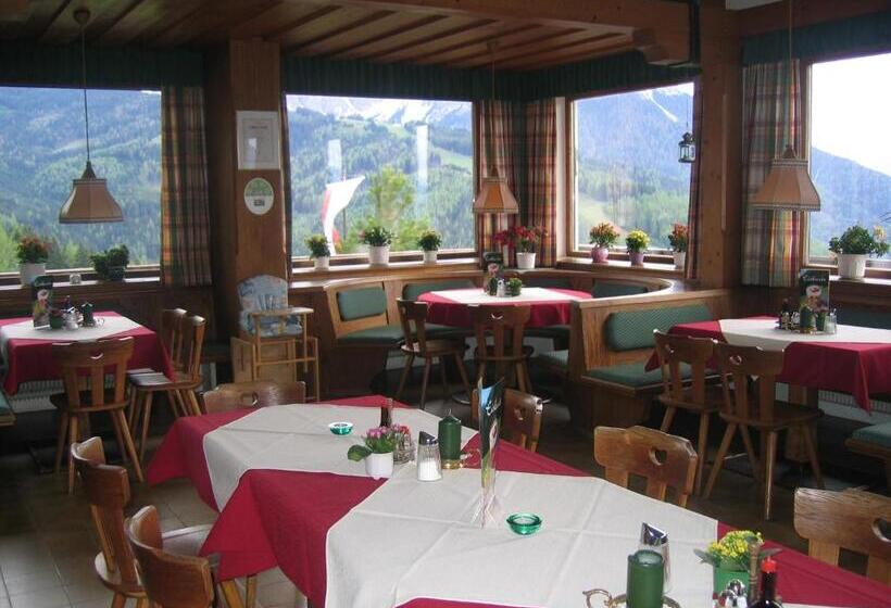 旅馆 Alpengasthaus Gleinserhof