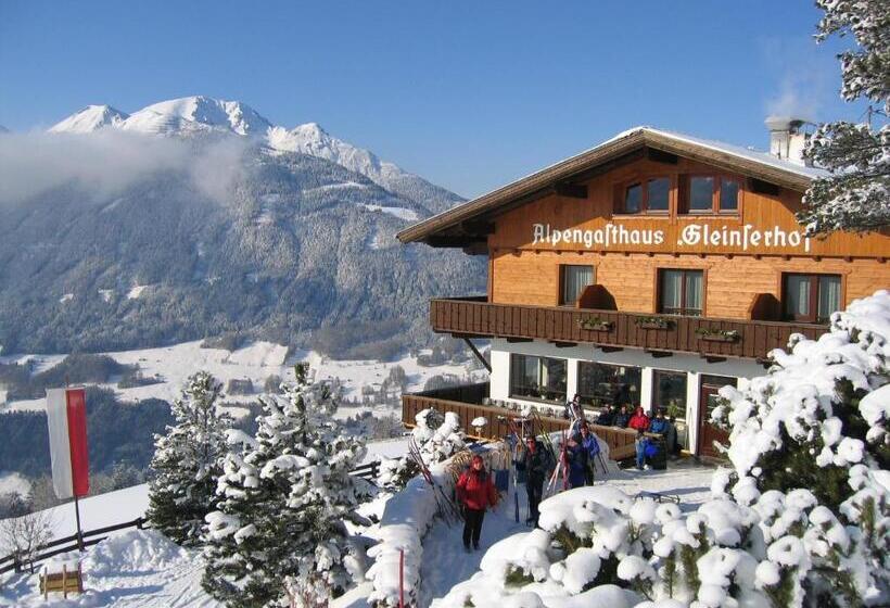 旅馆 Alpengasthaus Gleinserhof