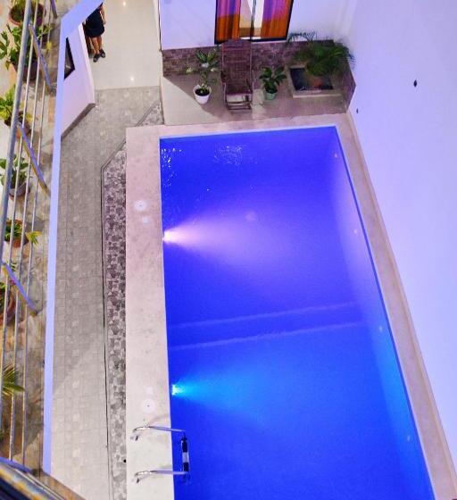 هاستل Sueño Tropical