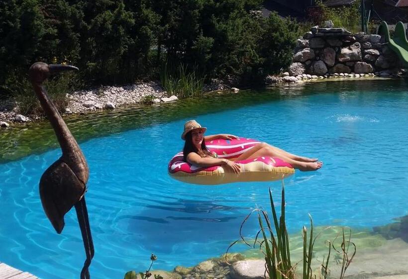 Aparthotel Dachsteinblick