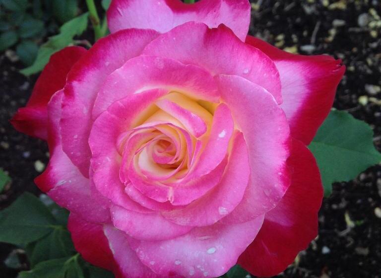 Tranquil Days Guest House   A Truly Exceptional Bed And Breakfast