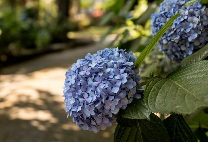 Bed and Breakfast Du Parc Boutique Home