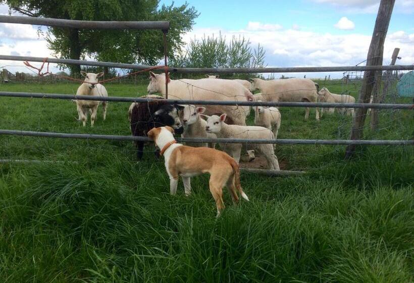 住宿加早餐  Boerengastenverblijf De Kromme Rijn