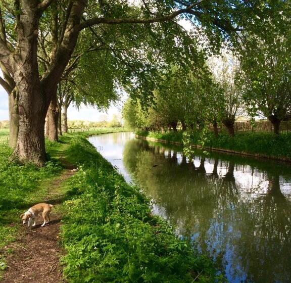 住宿加早餐  Boerengastenverblijf De Kromme Rijn