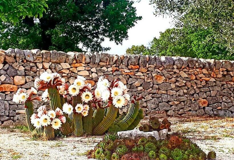 住宿加早餐  Casa Relax Isabelle