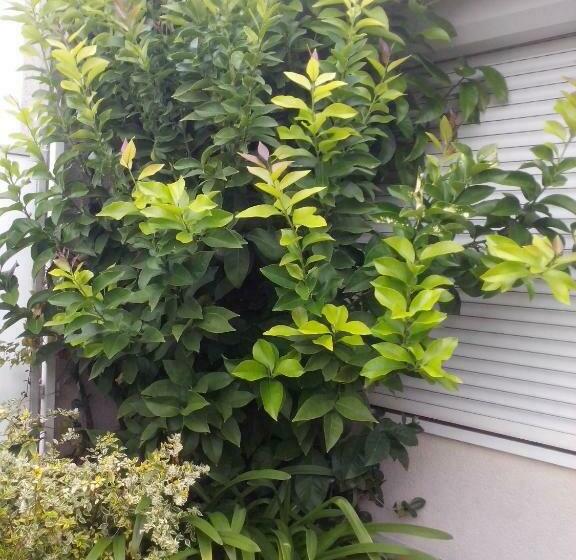 ベッドアンドブレックファースト Chambres D Hôtes Issy Paris