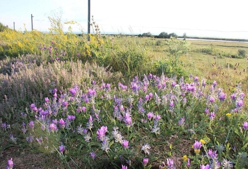 Bed and Breakfast Haus Renée