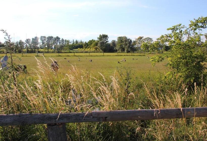 Bed and Breakfast Haus Renée