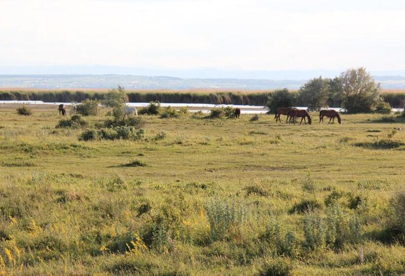 Bed and Breakfast Haus Renée