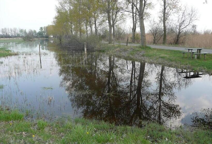 Bed and Breakfast Haus Renée