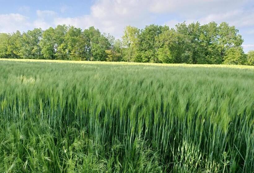 Bed and Breakfast La Cambra Dé Monflanquin