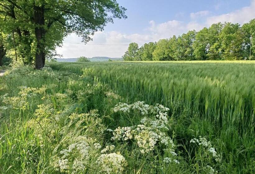 Bed and Breakfast La Cambra Dé Monflanquin
