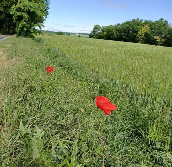 Bed and Breakfast La Cambra Dé Monflanquin