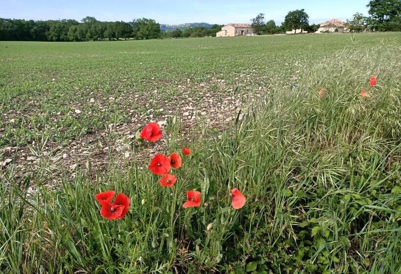 Bed and Breakfast La Cambra Dé Monflanquin