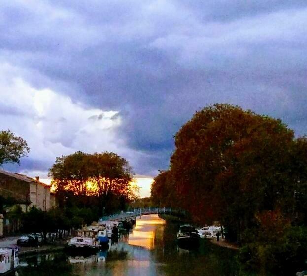 住宿加早餐  La Maison Des Palmiers