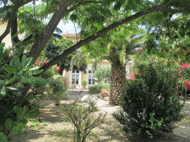 住宿加早餐  La Maison Des Palmiers