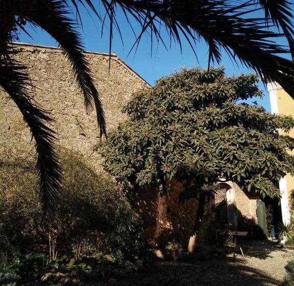 住宿加早餐  La Maison Des Palmiers