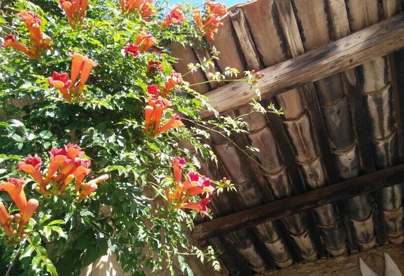 住宿加早餐  La Maison Des Palmiers