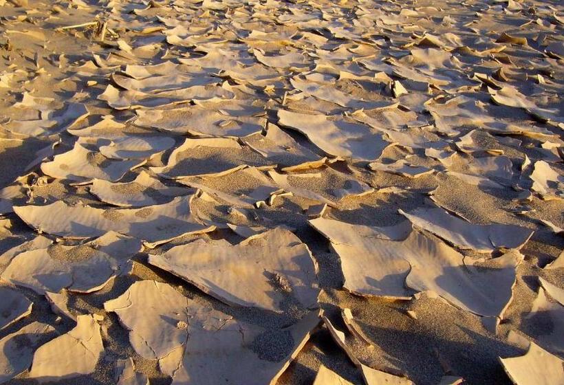 مبيت وإفطار Le Drom Blanc