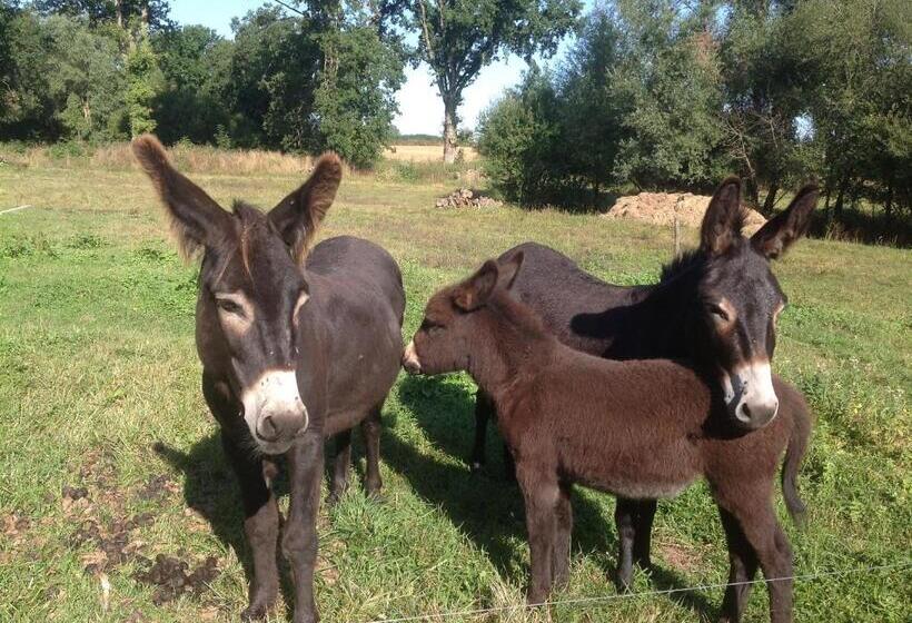 צימר Les Malvaux