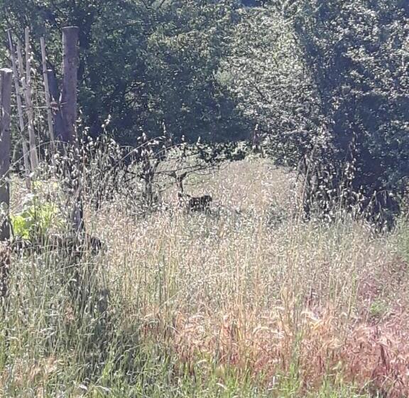 צימר Ort Holiday S Time