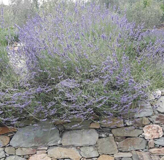 צימר Ort Holiday S Time