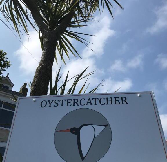 ベッドアンドブレックファースト Oystercatcher