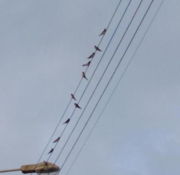 مبيت وإفطار The Old Bakery