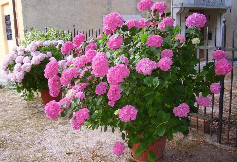 فندق Agriturismo Dea