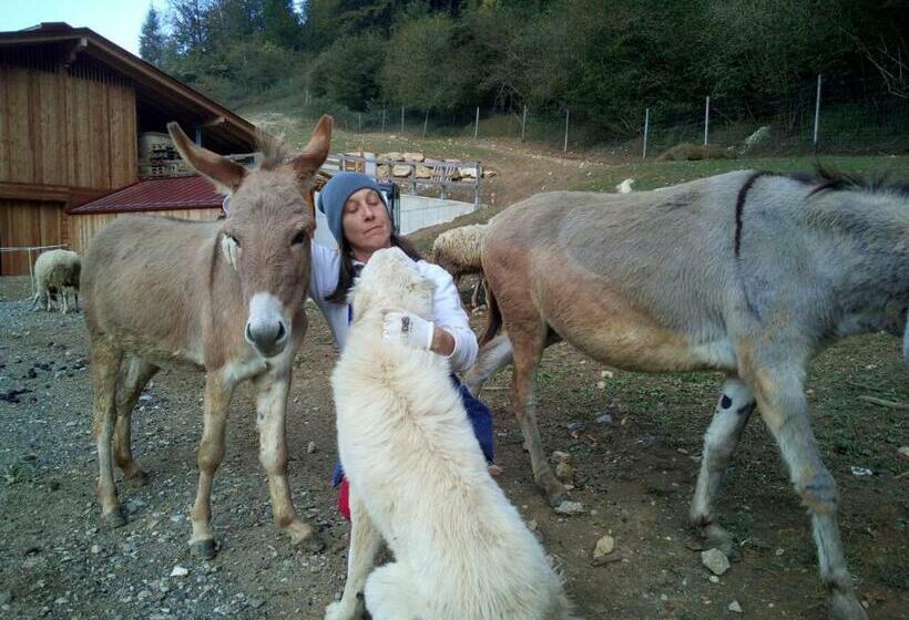 فندق Agriturismo Maso Pertener  Adults Only