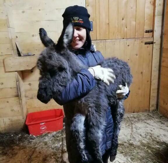 فندق Agriturismo Maso Pertener  Adults Only