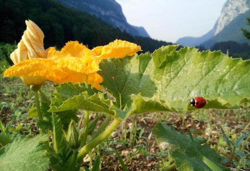 فندق Agriturismo Maso Pertener  Adults Only