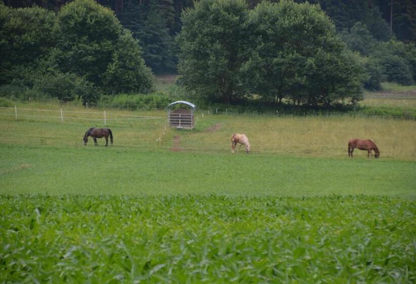 فندق Agriturismo Maso Pertener  Adults Only