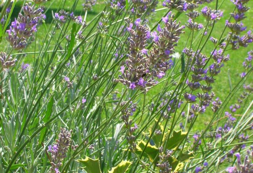 فندق Agriturismo Maso Pertener  Adults Only