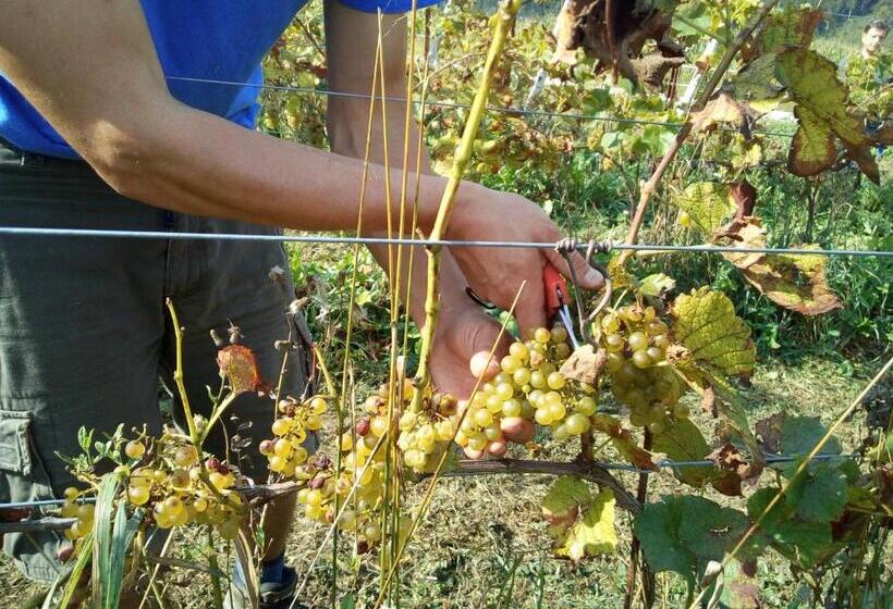 فندق Agriturismo Maso Pertener  Adults Only