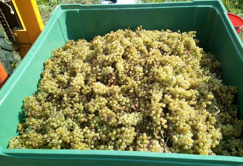 فندق Agriturismo Maso Pertener  Adults Only