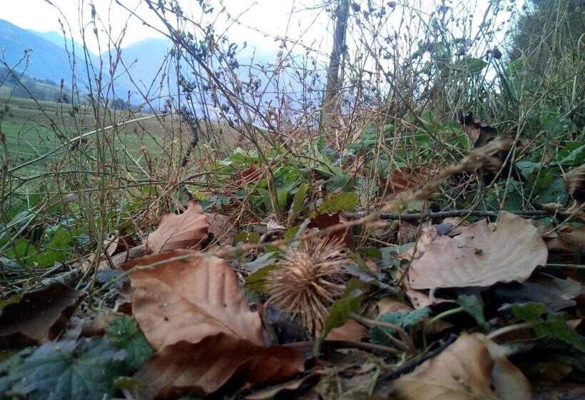 فندق Agriturismo Maso Pertener  Adults Only