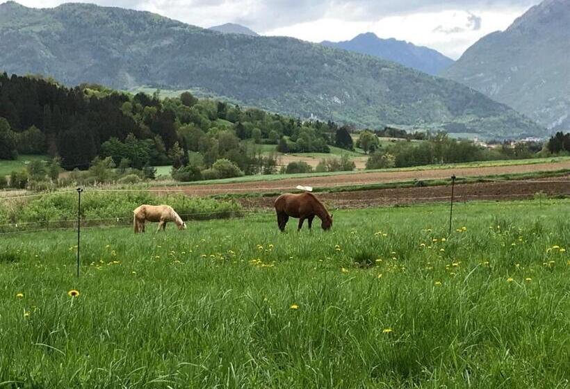 فندق Agriturismo Maso Pertener  Adults Only