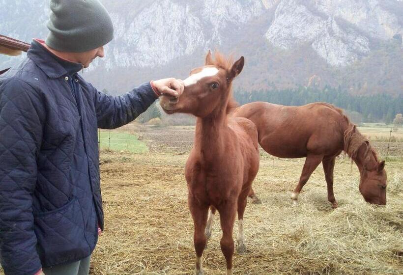 فندق Agriturismo Maso Pertener  Adults Only