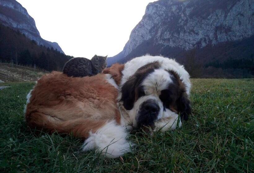 فندق Agriturismo Maso Pertener  Adults Only