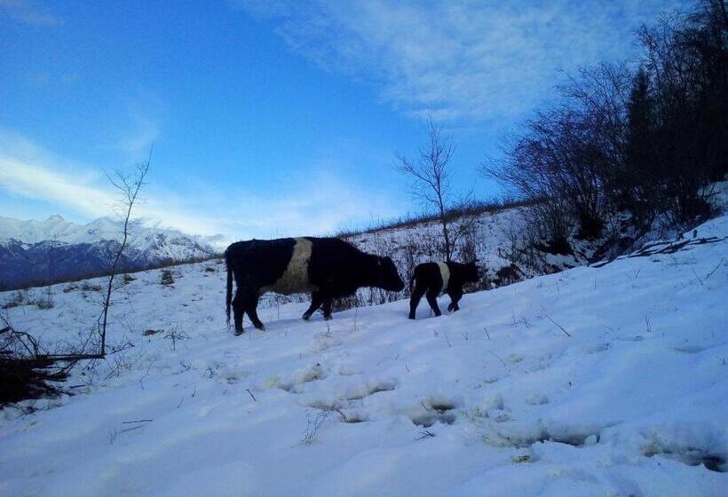 فندق Agriturismo Maso Pertener  Adults Only