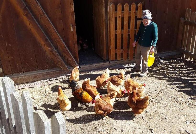 فندق Ferienwohnungen Kuentnerhof