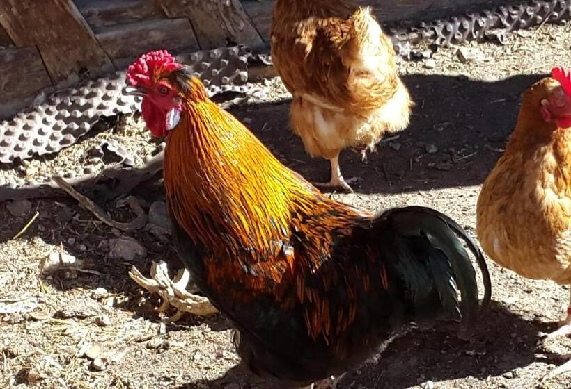 فندق Ferienwohnungen Kuentnerhof